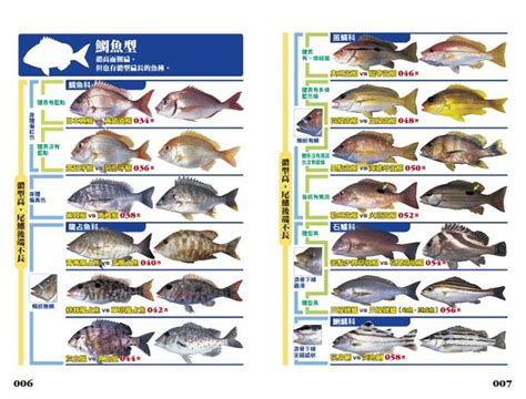 土水術語 魚的種類有哪些